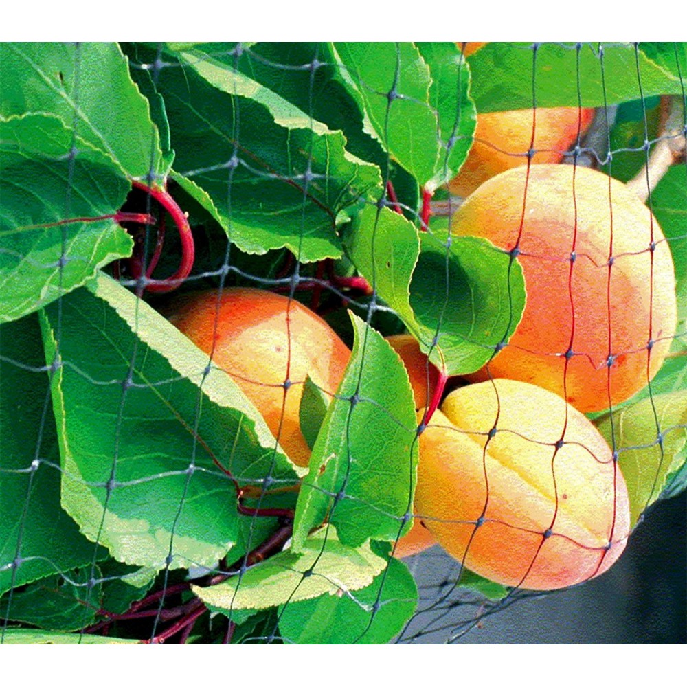 Filet d’entourage ou couvre-potager en nylon 4...