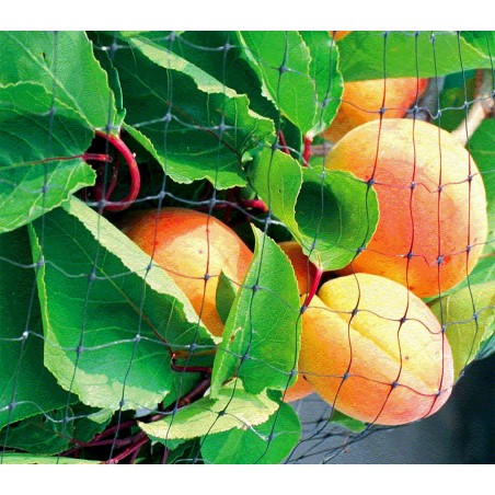 Filet d’entourage ou couvre-potager en nylon 4 x 3 m anti-oiseaux 290010