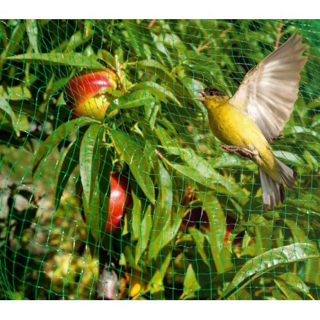 Filet d’entourage ou couvre-potager en nylon 4 x 3 m anti-oiseaux 290010