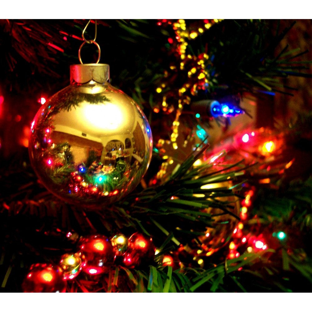 013546 Lumières de Noël MULTICOLORES 240...