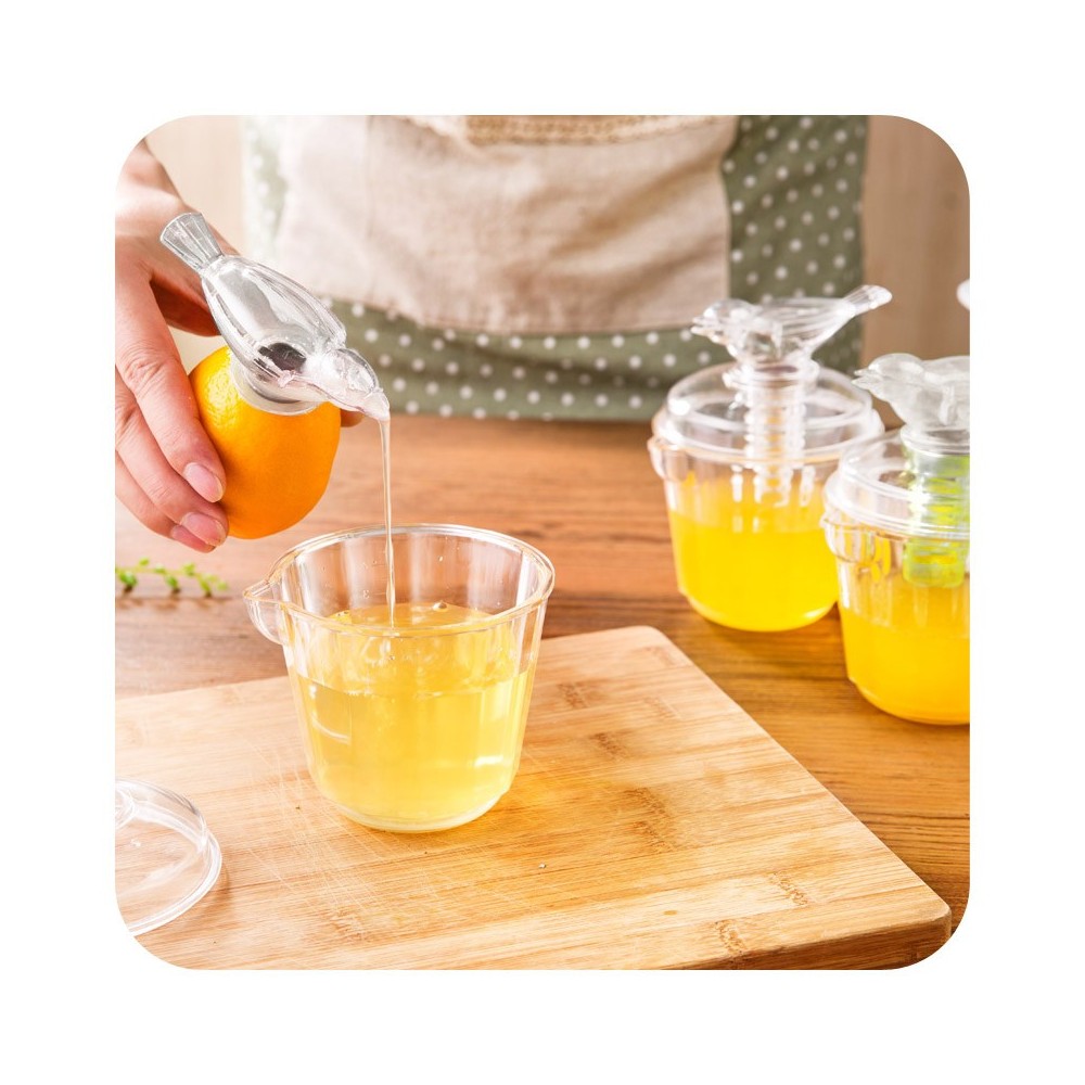 704639 - presse jus - squeezer-agrumes manuel...