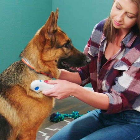 Peigne électrique anti-puces élimine puces et parasites des chats et chiens