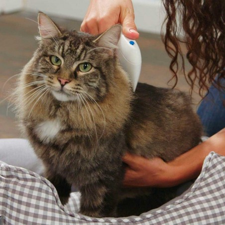 Peigne électrique anti-puces élimine puces et parasites des chats et chiens