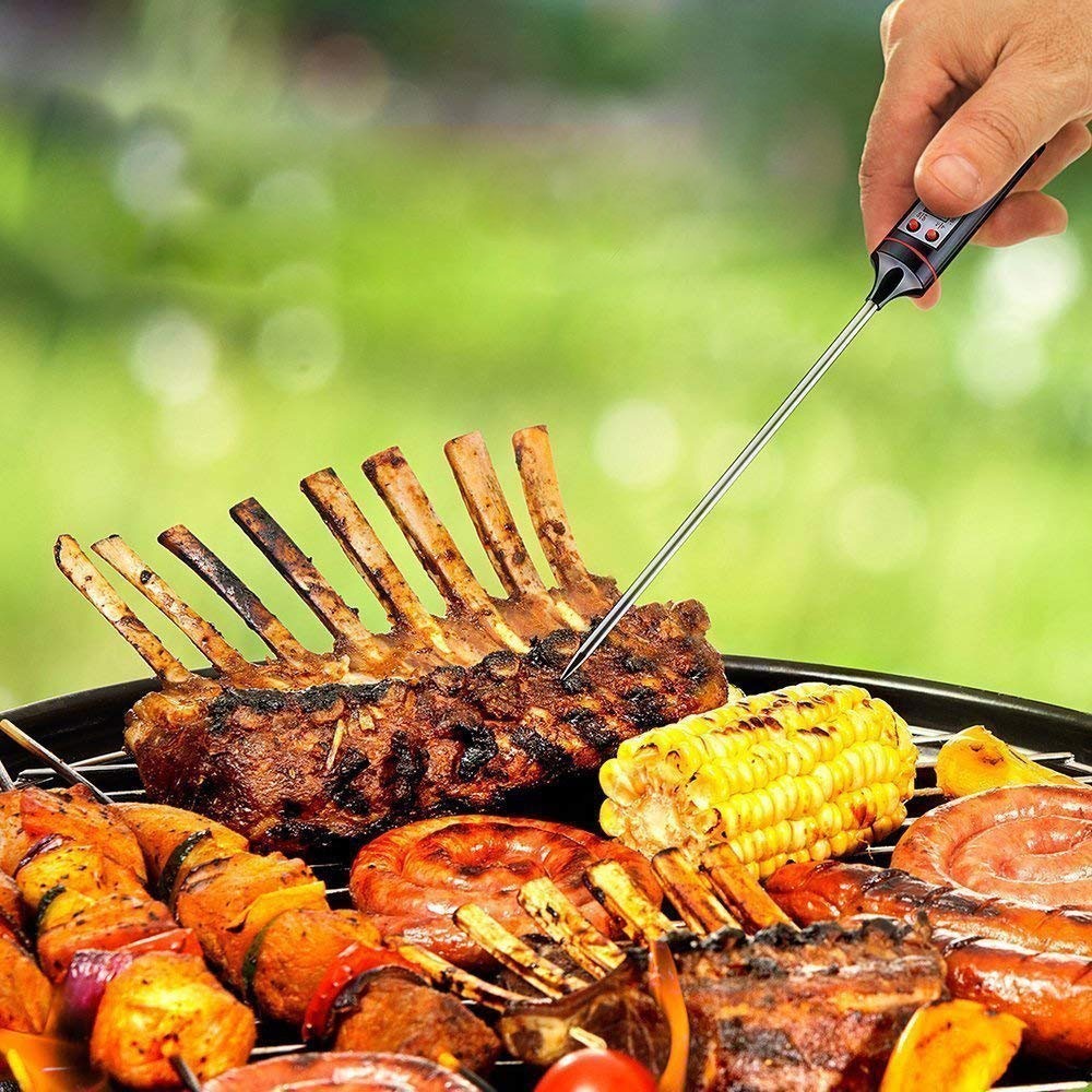 Thermomètre de cuisson à contact numérique JR-1...