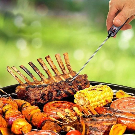 Thermomètre de cuisson à contact numérique JR-1 multifonction de -50 à 300C°