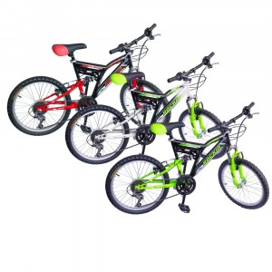 Vélo 24 "ROCKIN BIAMMORTIZZAT 2 freins et 12 vitesse...