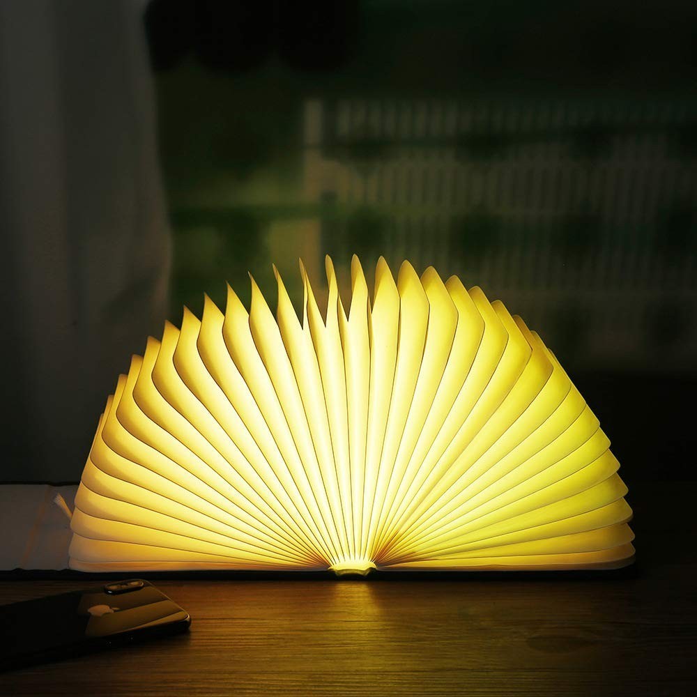 Lampe accordéon LED pivotante avec connexion...