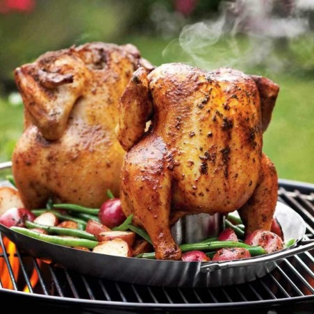 BBQ collection Rôtissoire pour poulets vertical 563497 Chicken Roaster 20x10 cm