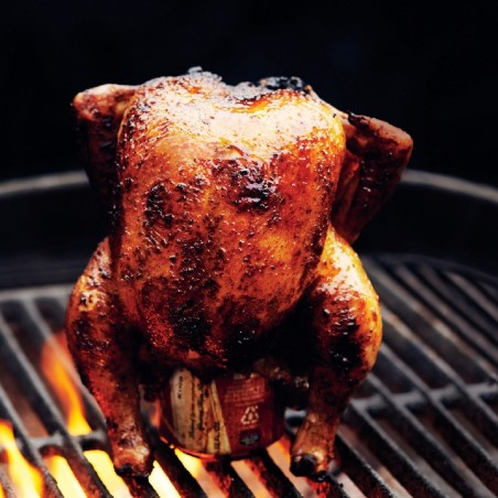 BBQ collection Rôtissoire pour poulets vertical 563497 Chicken Roaster 20x10 cm
