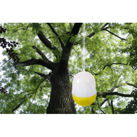 Mini Piège à insectes 952567 de guêpes d’abeilles pour extérieur 15 cm