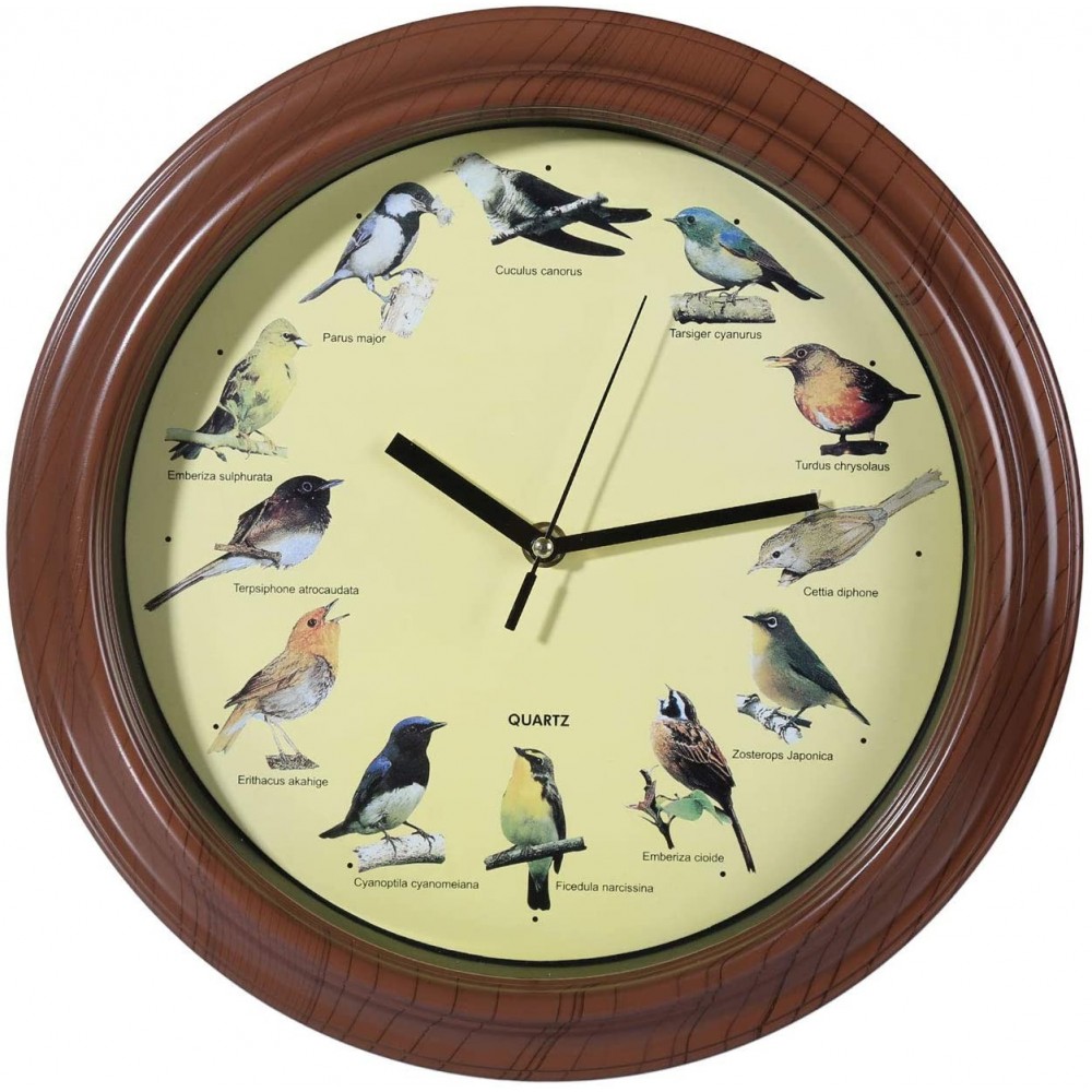 Horloge murale ronde 793151 avec gazouillis sons oiseaux réalistes de 33 cm
