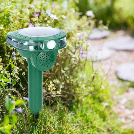 Répulsif chasse les taupes et les animaux, ultrasons 136271 avec panneau solaire