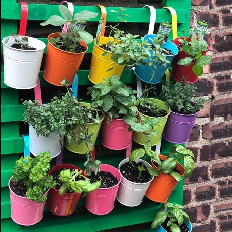 Set de 10 pots de fleurs en fer 16xH13cm avec trou de drainage, crochet amovible