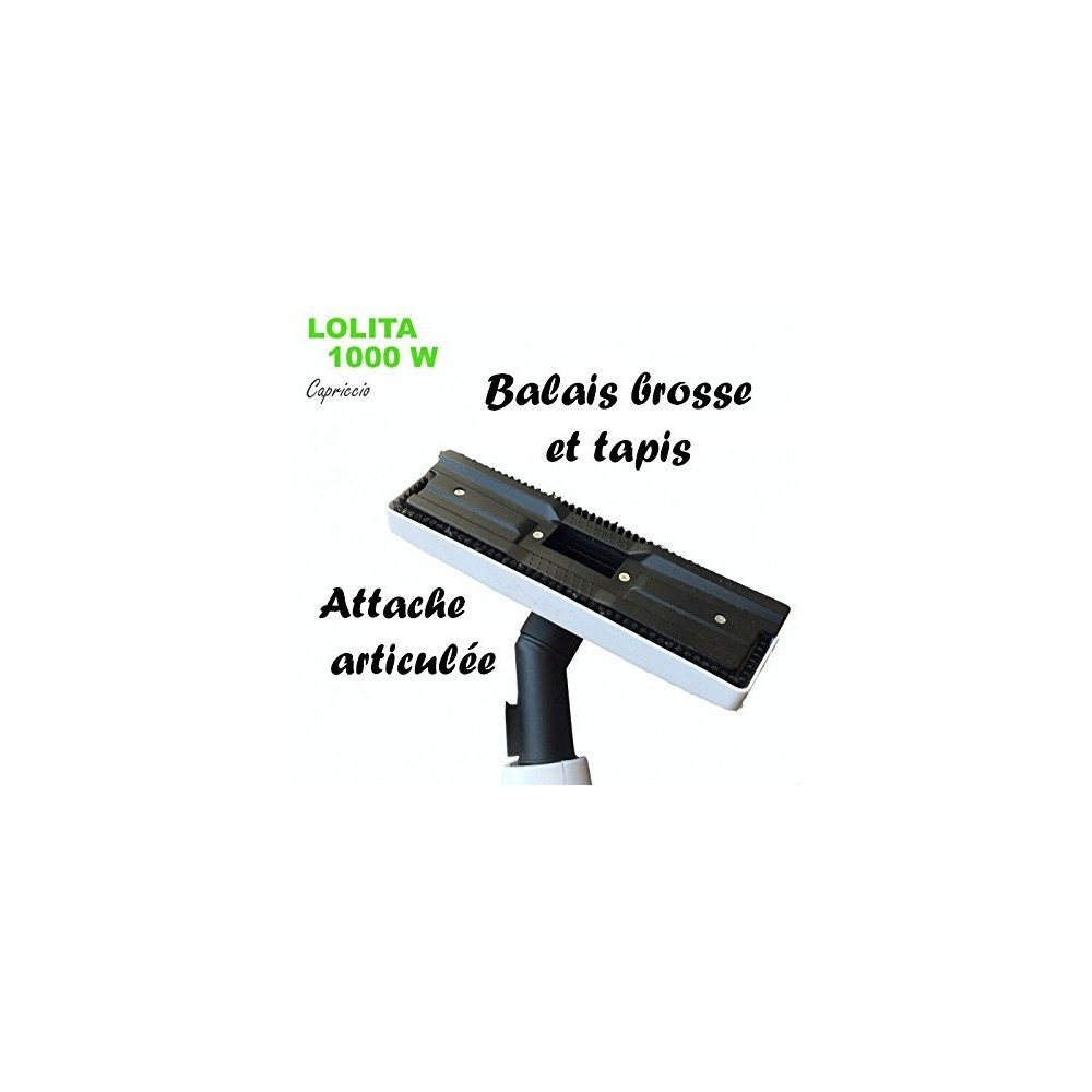 Aspirateur 1000 W LOLITA balai électrique sans sac HEPA tapis-de-chaussée de pinceau Capriccio 583101