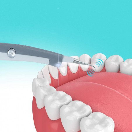 Sonic Système PLC nettoyage et hygiène dentaire art. 186106 avec deux têtes