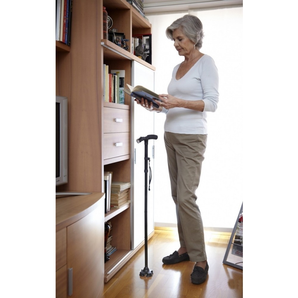 94920 - Canne pliage et pôle télescopique...