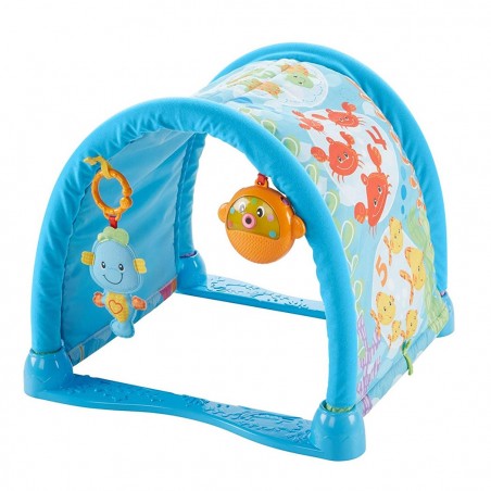 Fisher Price 2 in 1 tapis 343007 avec jeux et musique et tunnel MUSICAL GYM