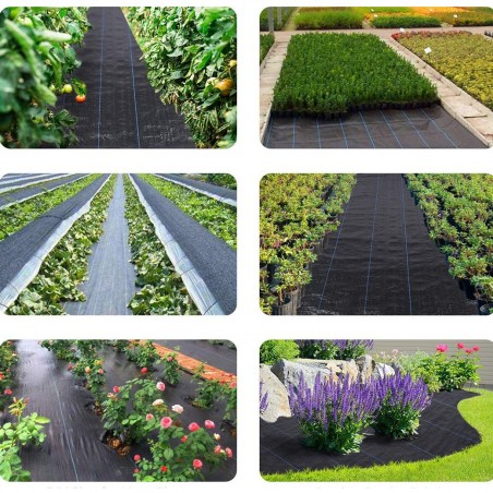 Rouleau paillage 518731 Feuille plastique potager NOIR Antimauvaisesherbes 1x5mt