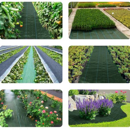 Rouleau paillage 518724 Feuille plastique potager VERT Antimauvaisesherbes 1x5mt