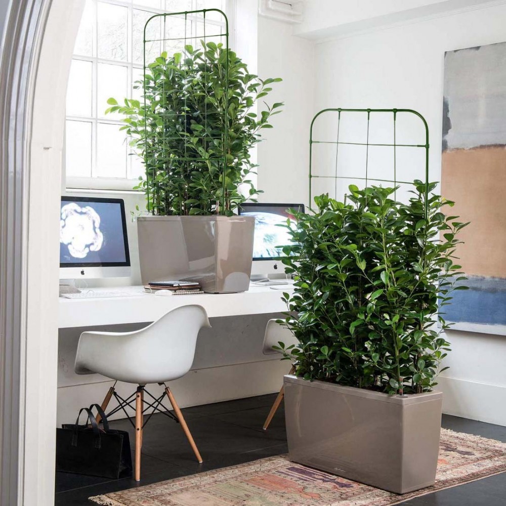 Support en forme de treillis 395165 DIY Cadre...