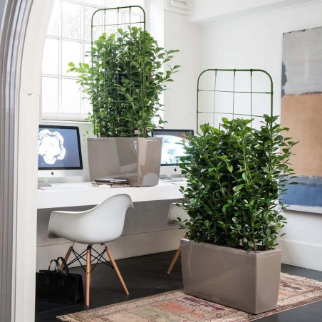 Support en forme de treillis 395165 DIY Cadre pour plantes grimpantes 91x39