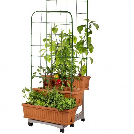 Support en forme de treillis 395165 DIY Cadre pour plantes grimpantes 91x39