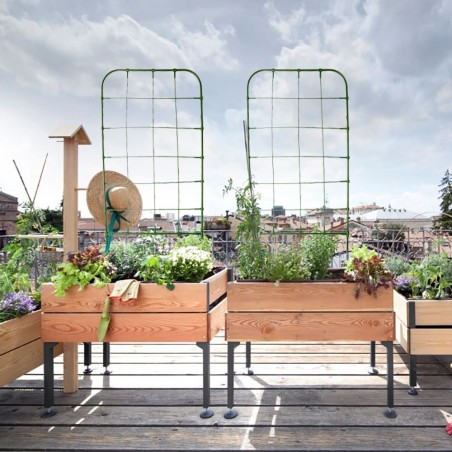 Support en forme de treillis 395165 DIY Cadre pour plantes grimpantes 91x39