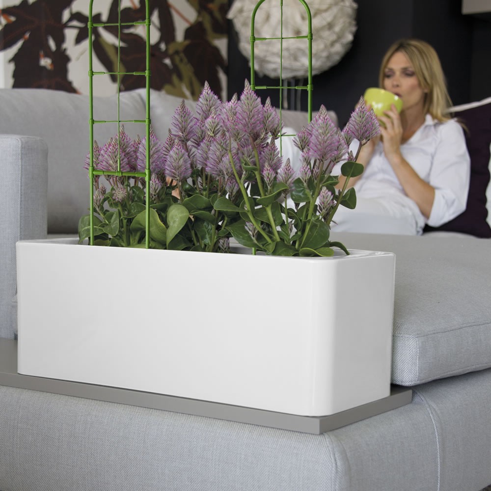 Support en forme de tronc 395158 Cadre plantes...