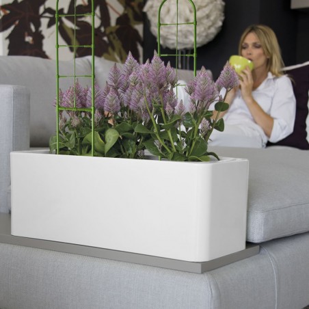 Support en forme de tronc 395158 Cadre plantes grimpantes de bricolage 60x14 cm