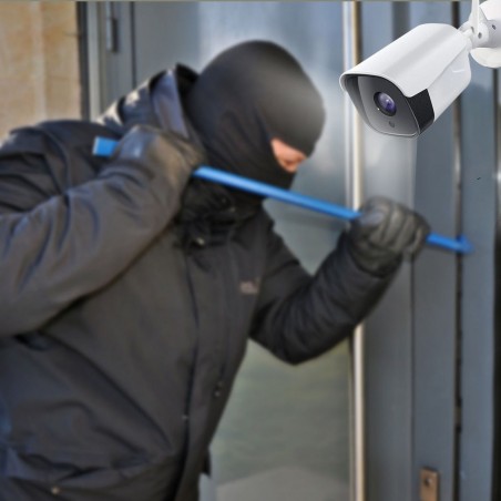 008882 Caméra IP de surveillance cloud 2 MP avec mémoire micro SD