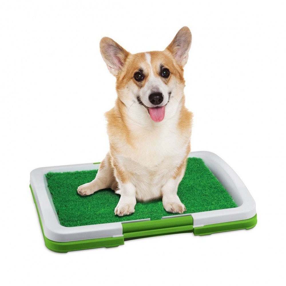 Litière 68 x 43 x 5 cm herbe synthétique pour animaux -toilettes - POT PATCH 3 couches