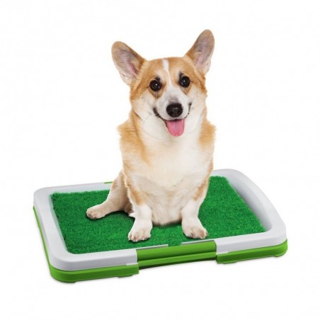 Litière 68 x 43 x 5 cm herbe synthétique pour animaux -toilettes - POT PATCH 3 couches