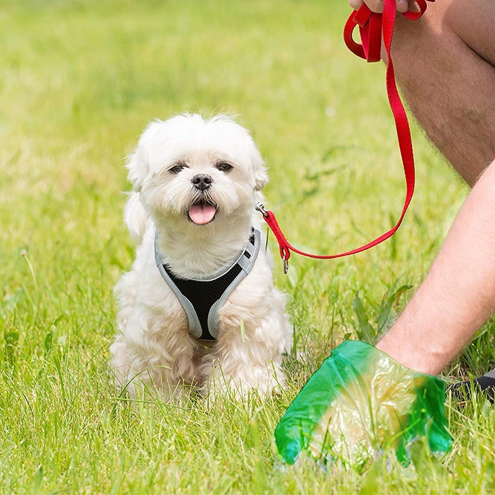 Art.18240 Rouleau de 15 sacs pour collecter les...