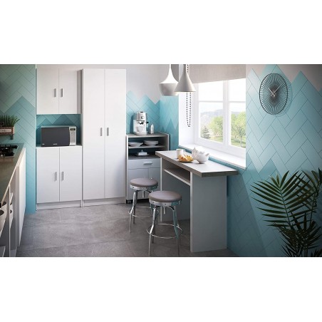 251844 Armoire bas polyvalent avec 2 portes et en bois blanc 59x37x80cm