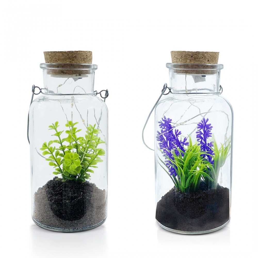 Boîte en verre avec plante décorative 452415 et Mini-lumière Led avec poignée