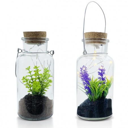 Boîte en verre avec plante décorative 452415 et Mini-lumière Led avec poignée