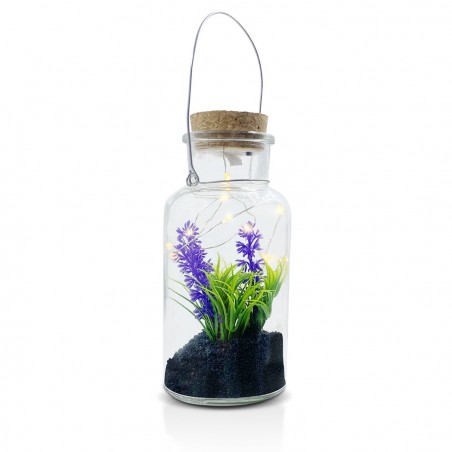 Boîte en verre avec plante décorative 452415 et Mini-lumière Led avec poignée