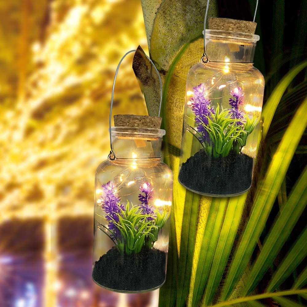 Boîte en verre avec plante décorative 452415 et...