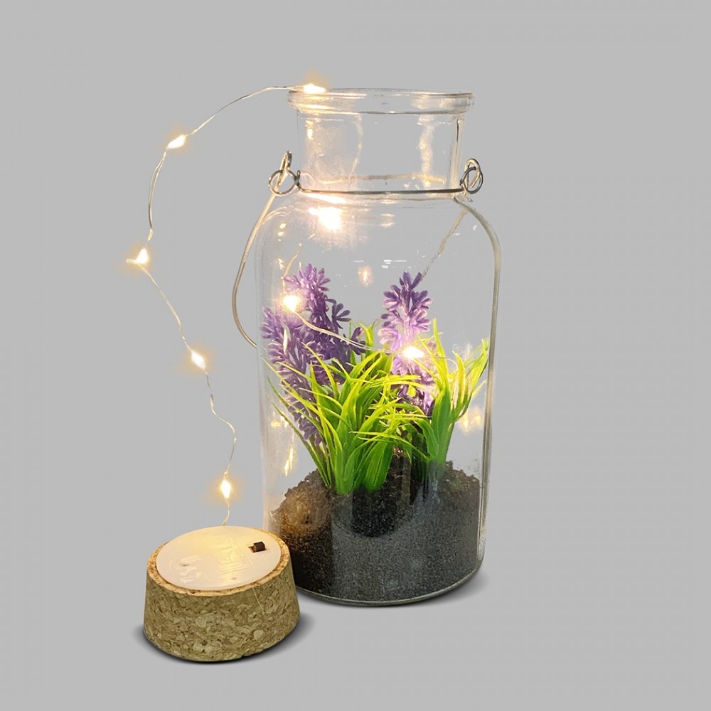 Boîte en verre avec plante décorative 452415 et...