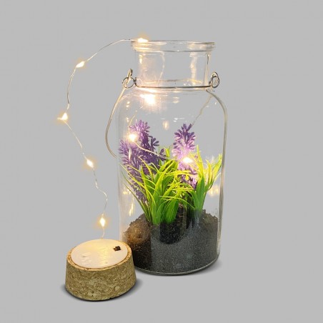Boîte en verre avec plante décorative 452415 et Mini-lumière Led avec poignée
