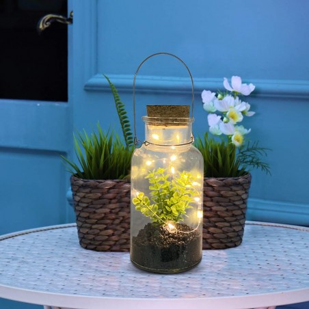Boîte en verre avec plante décorative 452415 et Mini-lumière Led avec poignée