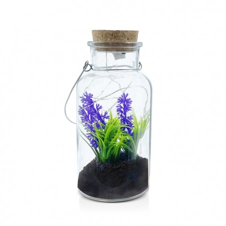 Boîte en verre avec plante décorative 452415 et Mini-lumière Led avec poignée