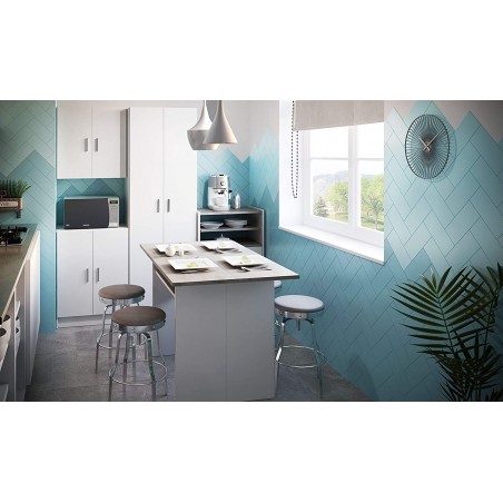 Armoire polyvalente Meuble 2 Portes 4 étagères Blanc en Mélamine 59x37x180cm