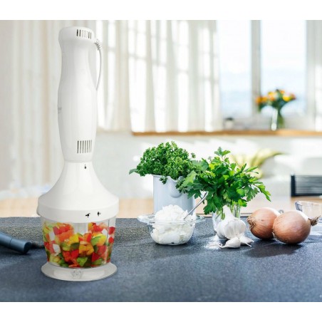 892108 Robot multifonctions pied mixeur, batteur et hachoir CAPRICCIO 500 ml