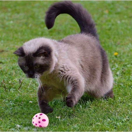 80500 Bac à litière et mangeoire pour chats 37x27x8,5H cm avec seau et écope