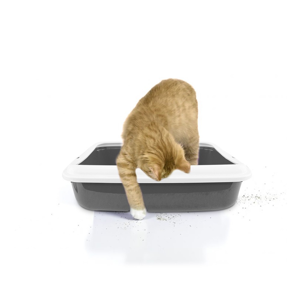 10547 BIG Bac à litière pour chat 49x39x12Hcm...