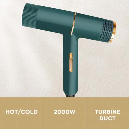 Sèche-cheveux professionnel à faible bruit de 2000 W sec en 3 à 5 minutes