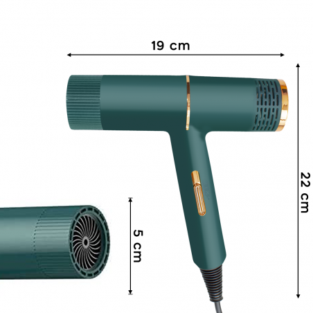 Sèche-cheveux professionnel à faible bruit de 2000 W sec en 3 à 5 minutes
