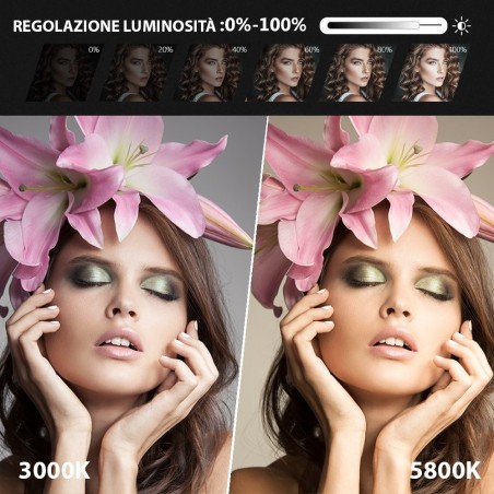 187158 Anneau lumineux LED 35 cm avec trépied et potentiomètre