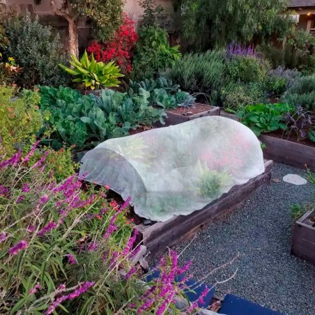 Rouleau de 15mt de couverture phytosanitaire en polypropylène pour le jardinage